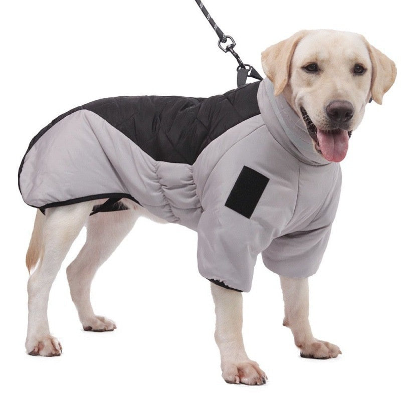 Dog Warm and Cozy in Style-1