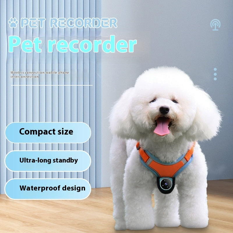 Pet Tracker Collar Dogs And Cats Recording Camera-2