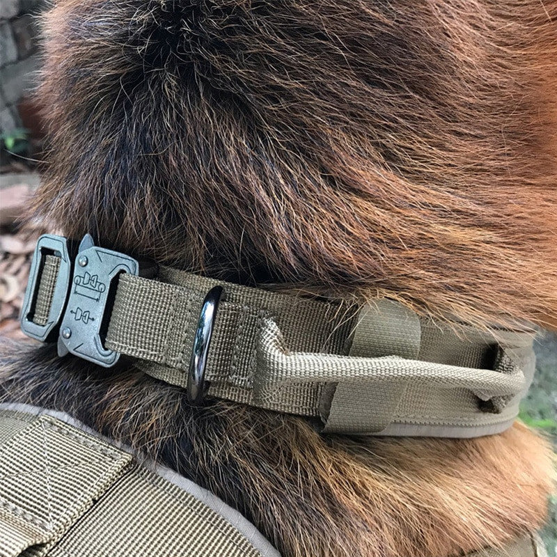 Dog Tag Nylon Tactical Collar With Handle Training Personalized-3